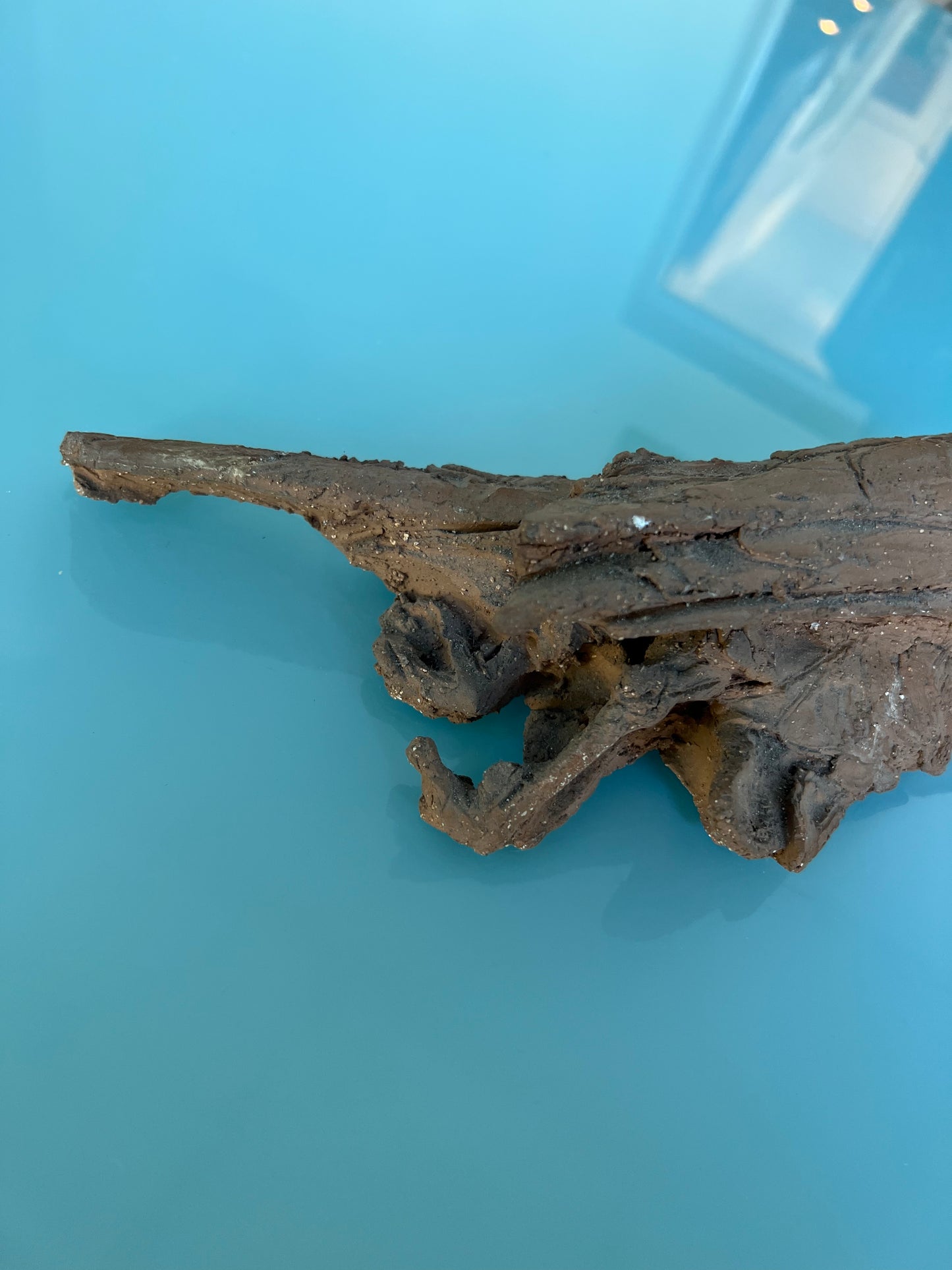 Henry Luckow-Nielsen. Study of a bird