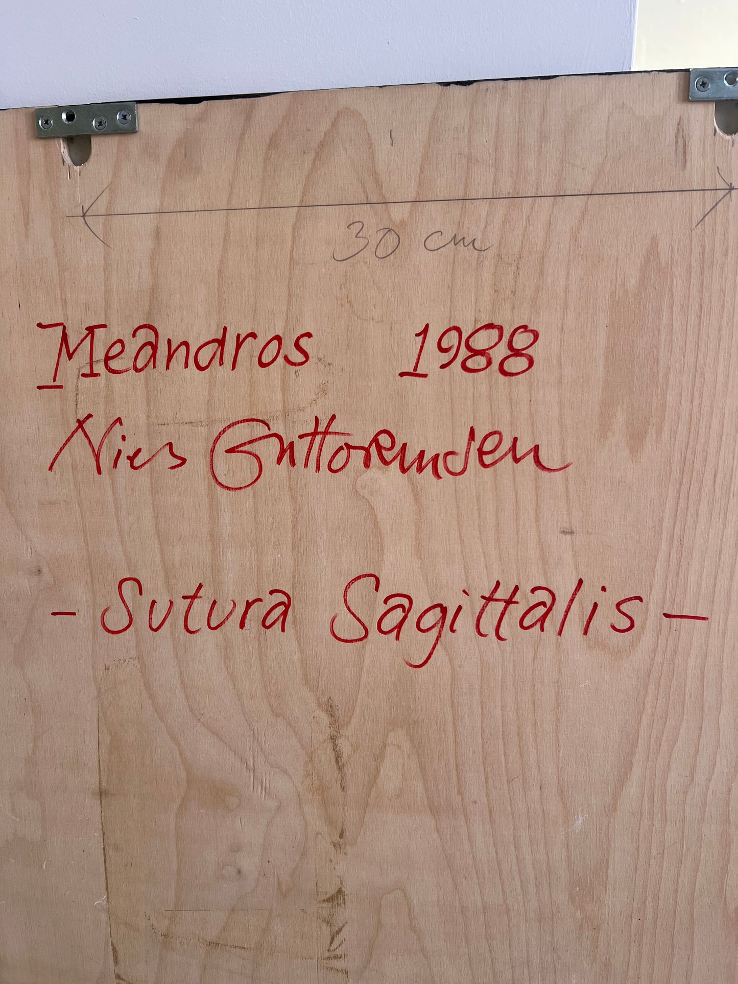 Niels Guttormsen. “Meandros - Sutura Sagittalis”, 1988