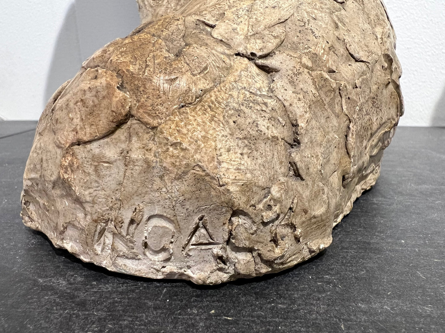 Astrid Noack. Portrait of a boy, 1920’s