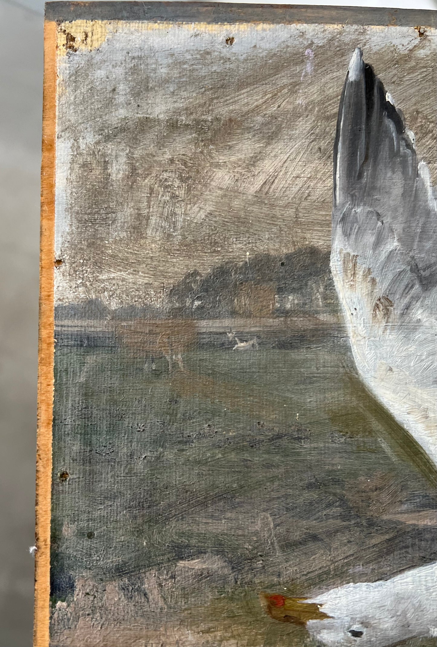 Joakim Skovgaard. Study of a seagull, 1878