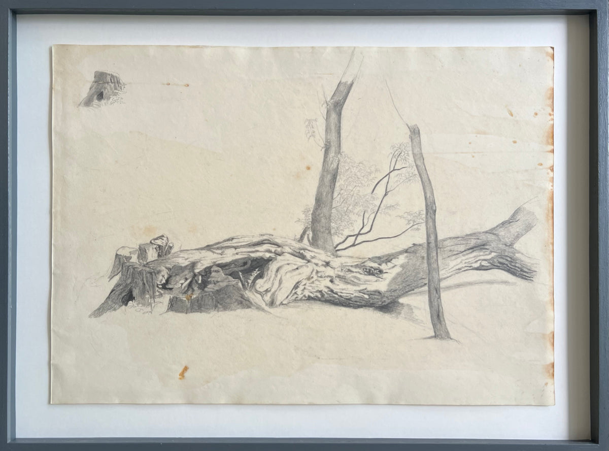 Georgia Skovgaard. Study of a fallen tree