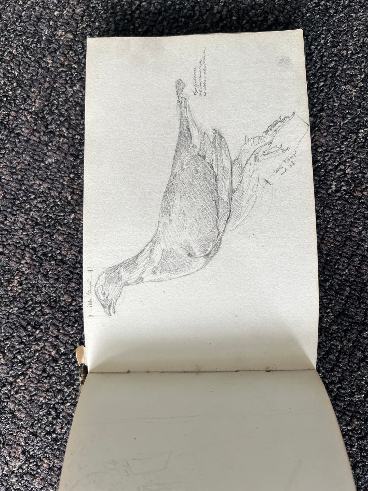 Niels Skovgaard. Sketchbook