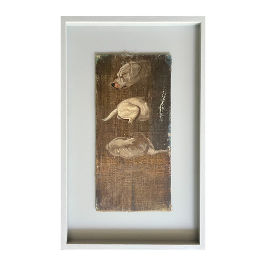 Niels Skovgaard. Studies of a dog
