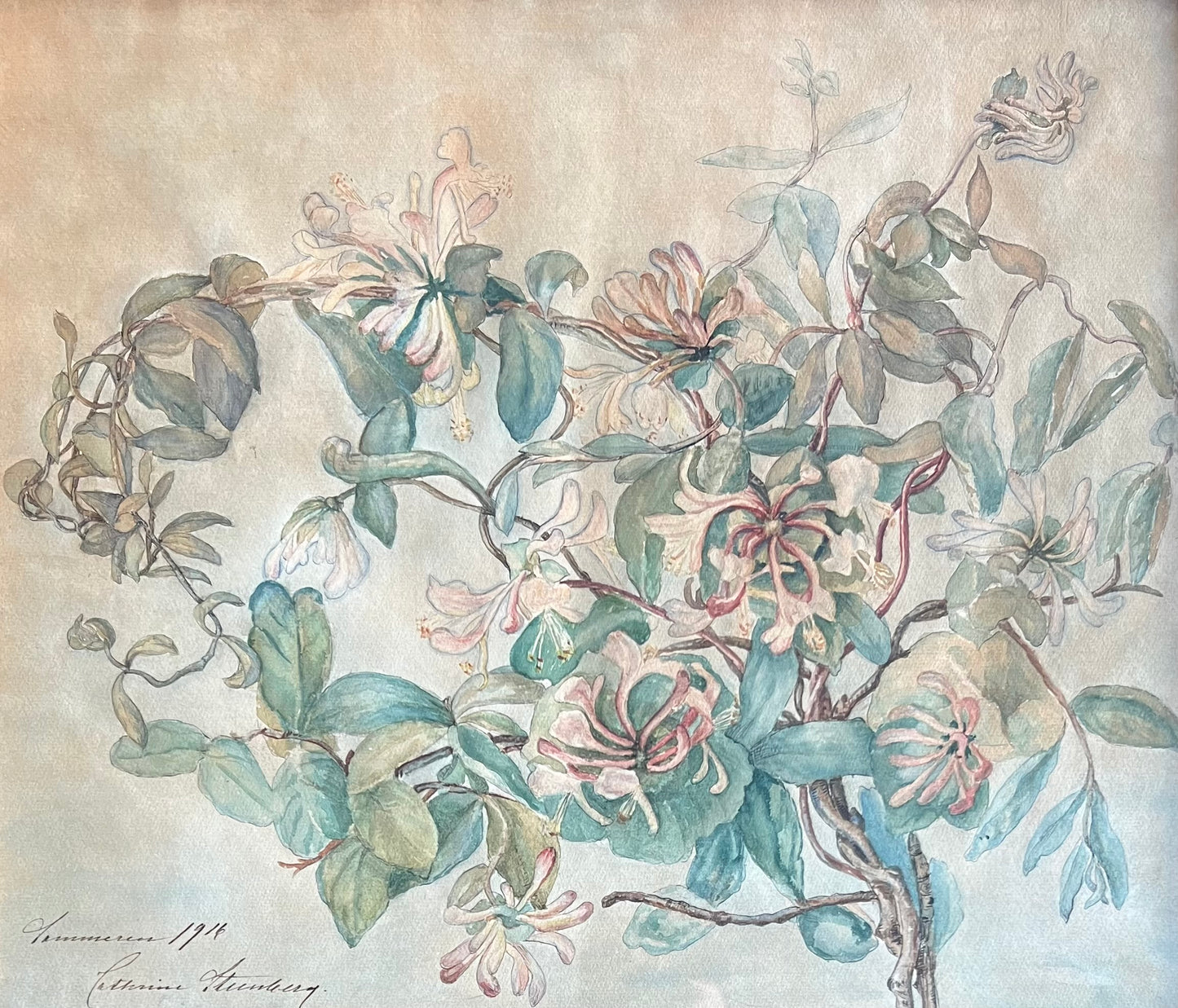 Cathrine Steenberg. Honeysuckles, 1916