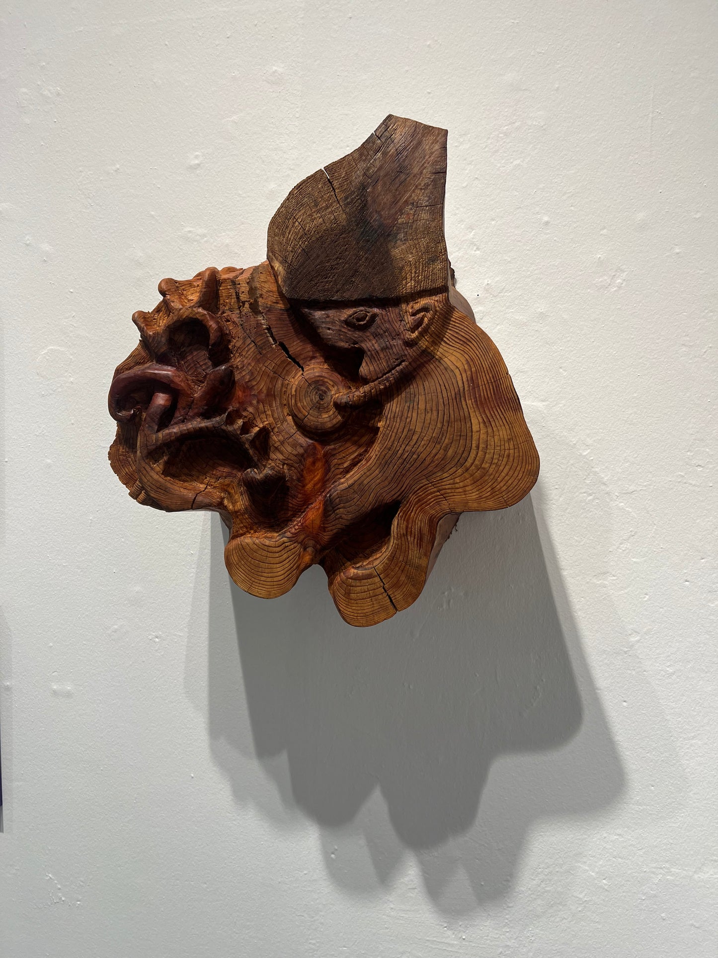 Mette Rasmussen. “Nissen finder globen blandt Bayeuxtræer”, 2019