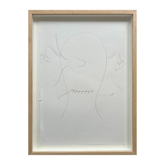 Marie Kølbæk Iversen. “Caesarean”, 2018