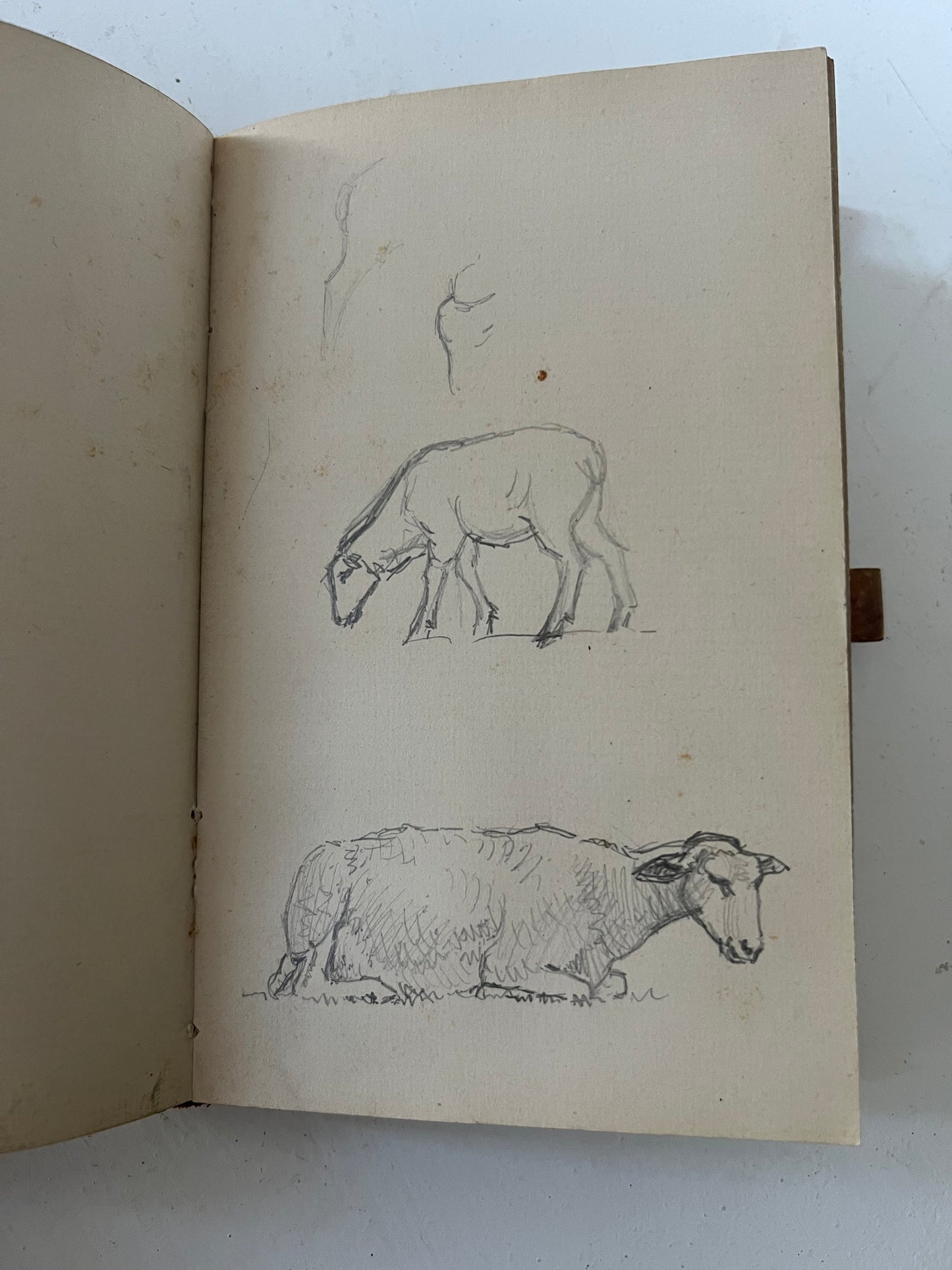Niels Skovgaard. Sketchbook