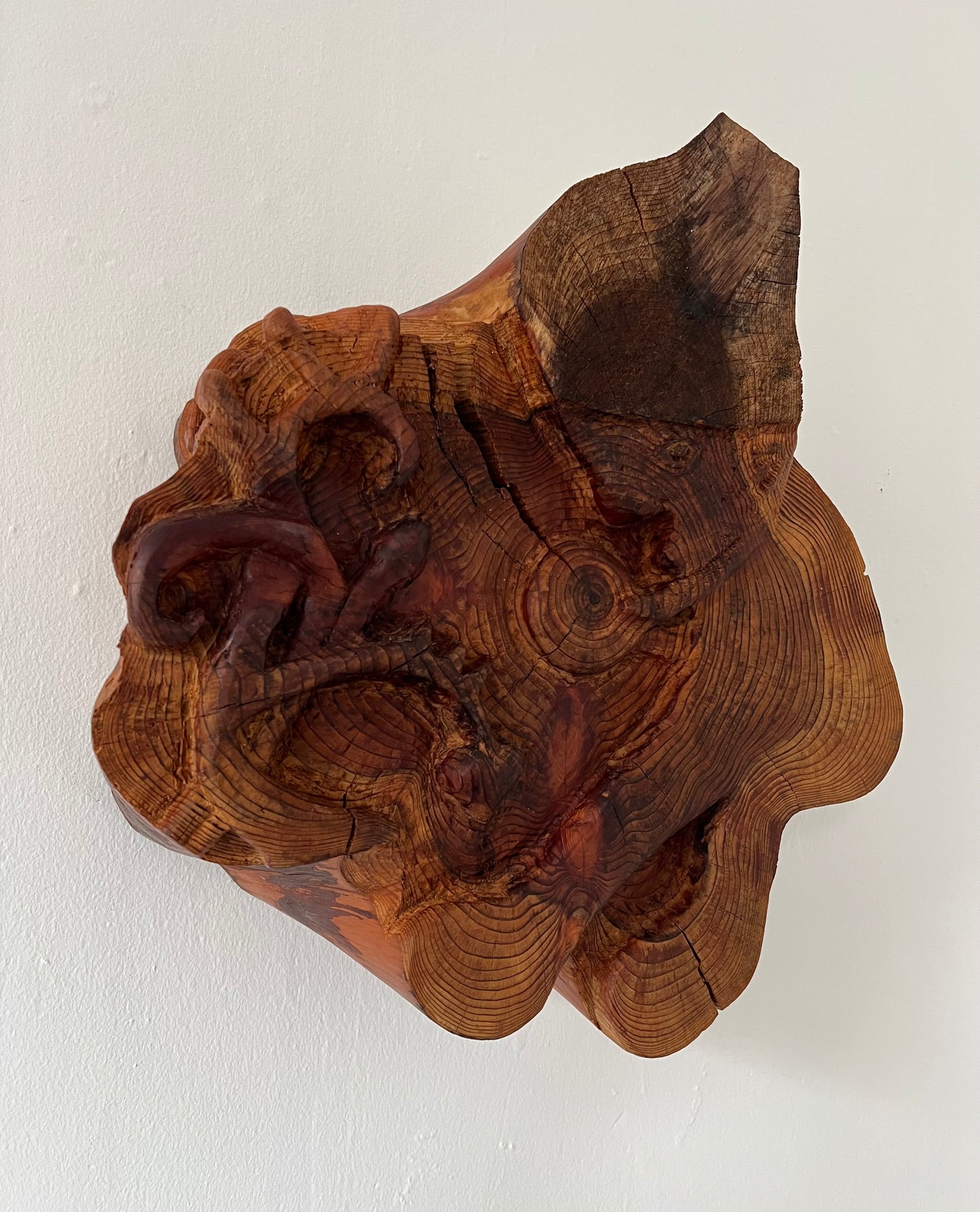 Mette Rasmussen. “Nissen finder globen blandt Bayeuxtræer”, 2019