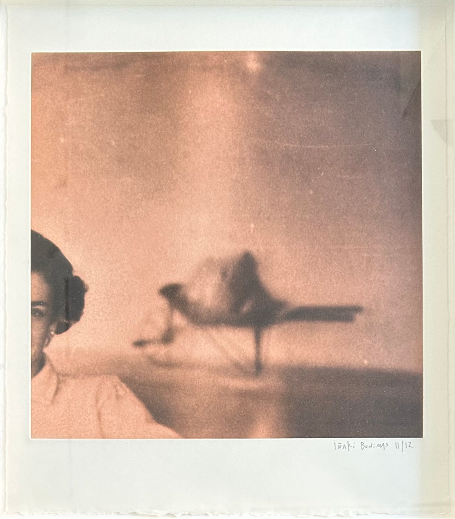 Inaki Bonillas. “A Storm of Secondary Things”, 2012