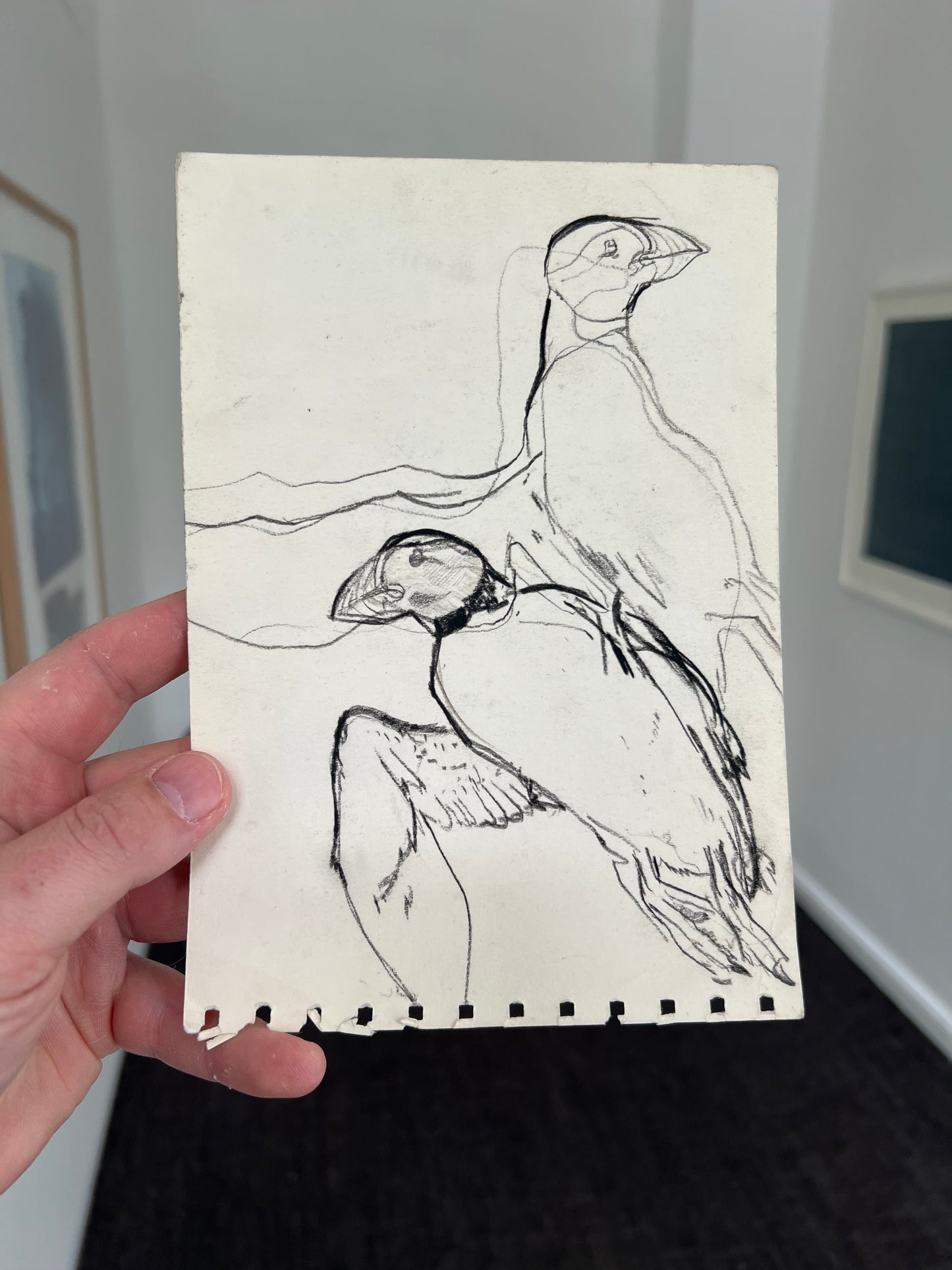 John Olsen. Puffins