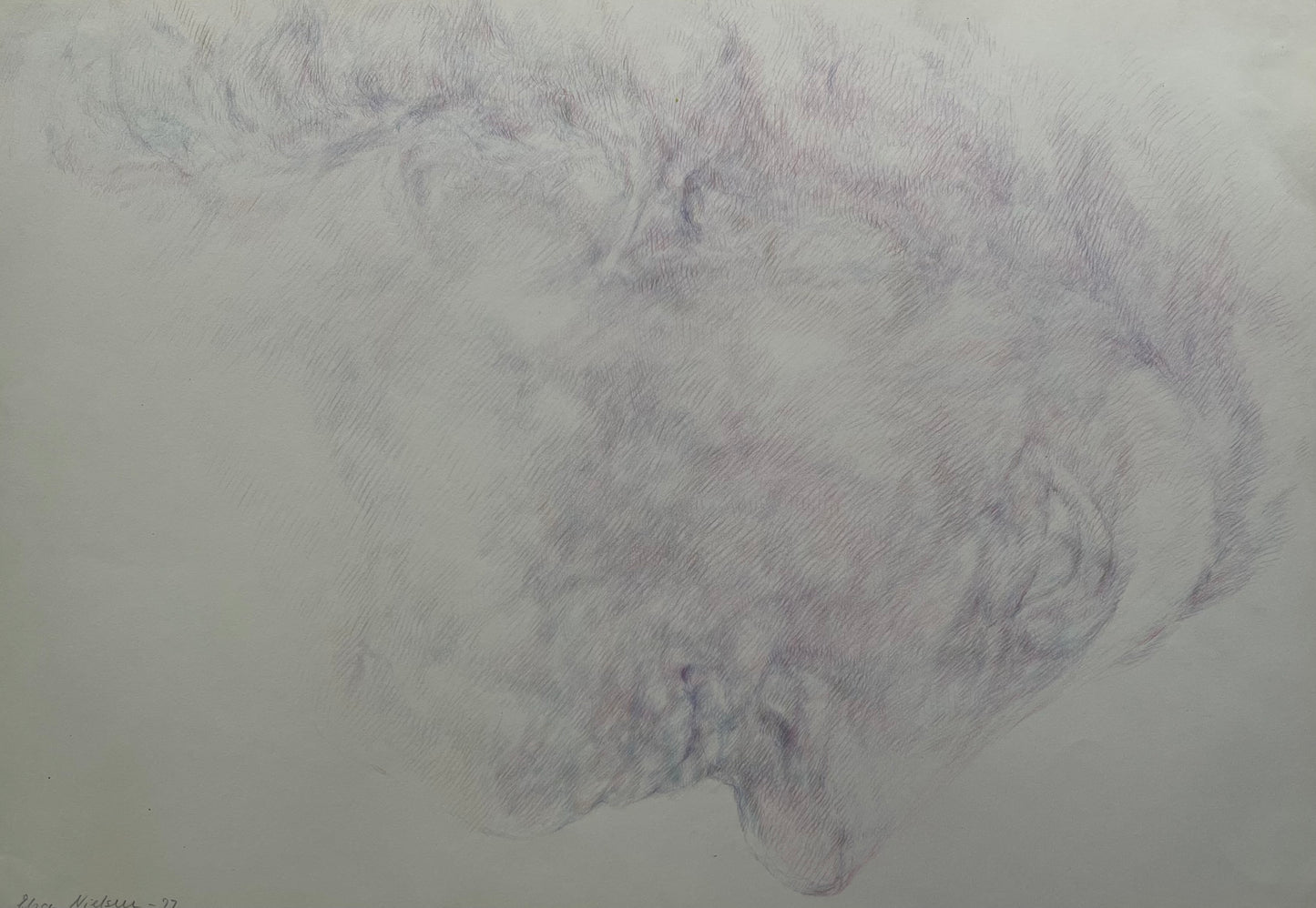 Elsa Nielsen. Study of a head, 1977