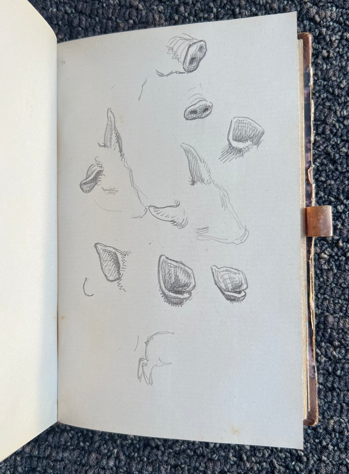 Niels Skovgaard. Sketchbook