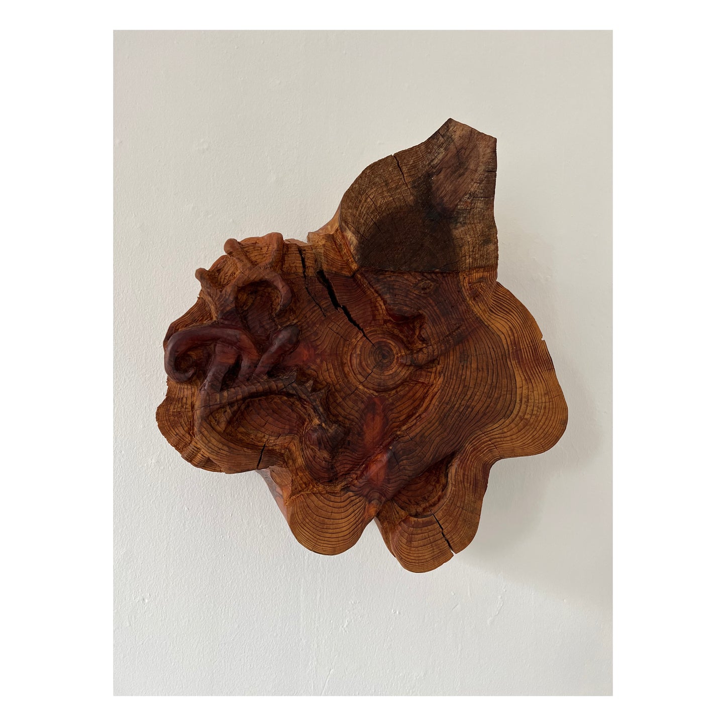 Mette Rasmussen. “Nissen finder globen blandt Bayeuxtræer”, 2019