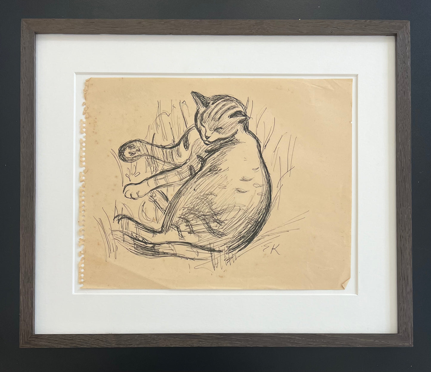Elisabeth Karlinsky. Study of a cat