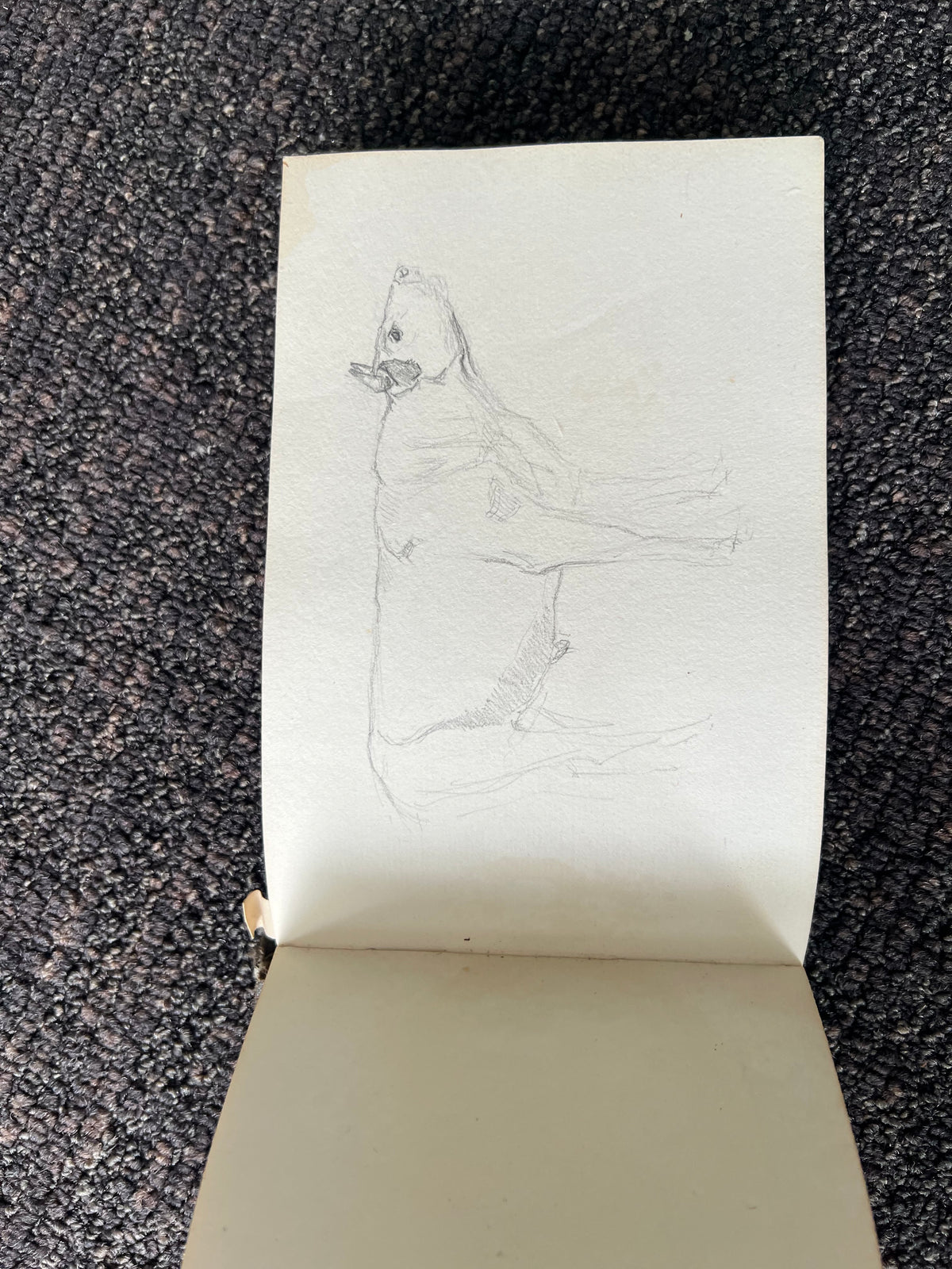 Niels Skovgaard. Sketchbook