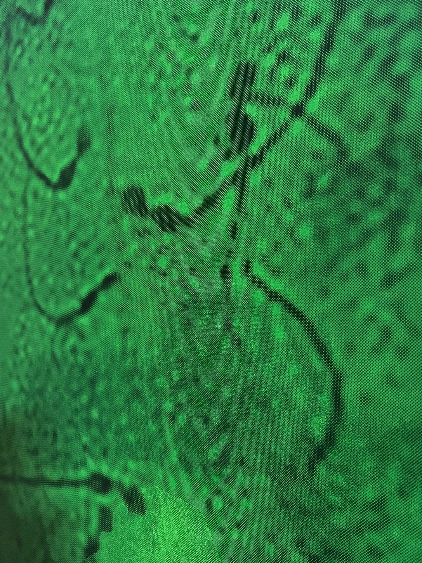 Marie Kølbæk Iversen. “Havengel”