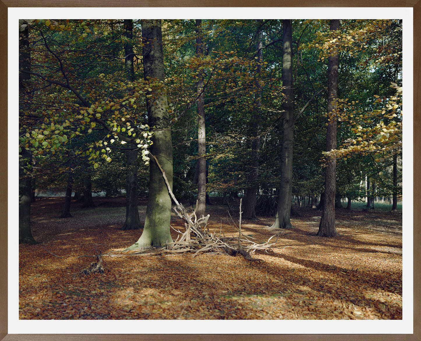 Maja Flink. “Skoven”, 2016