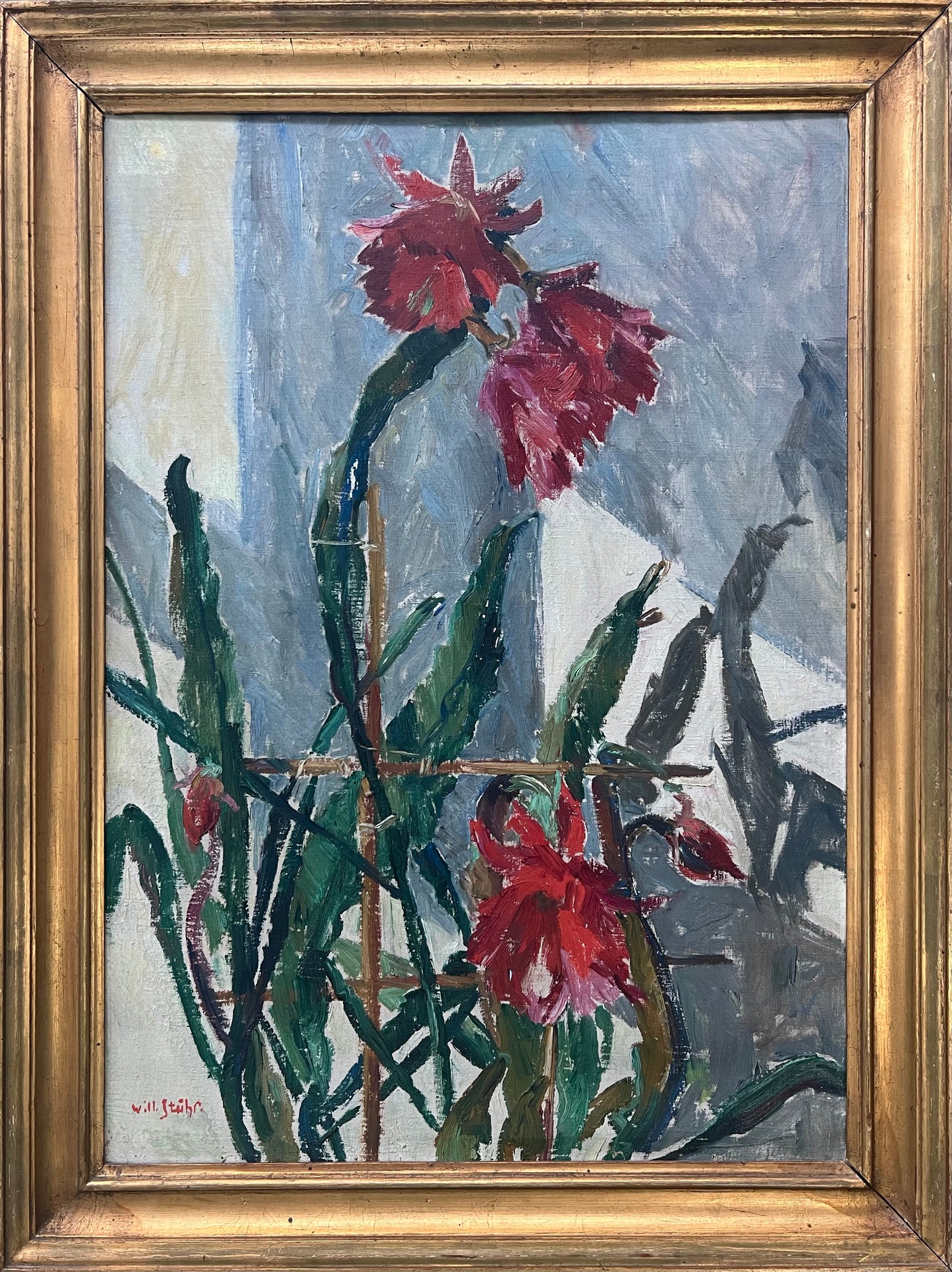 William Stuhr. A flowering cactus