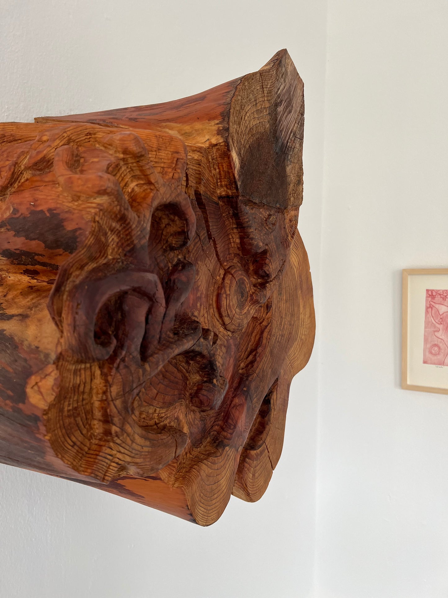 Mette Rasmussen. “Nissen finder globen blandt Bayeuxtræer”, 2019