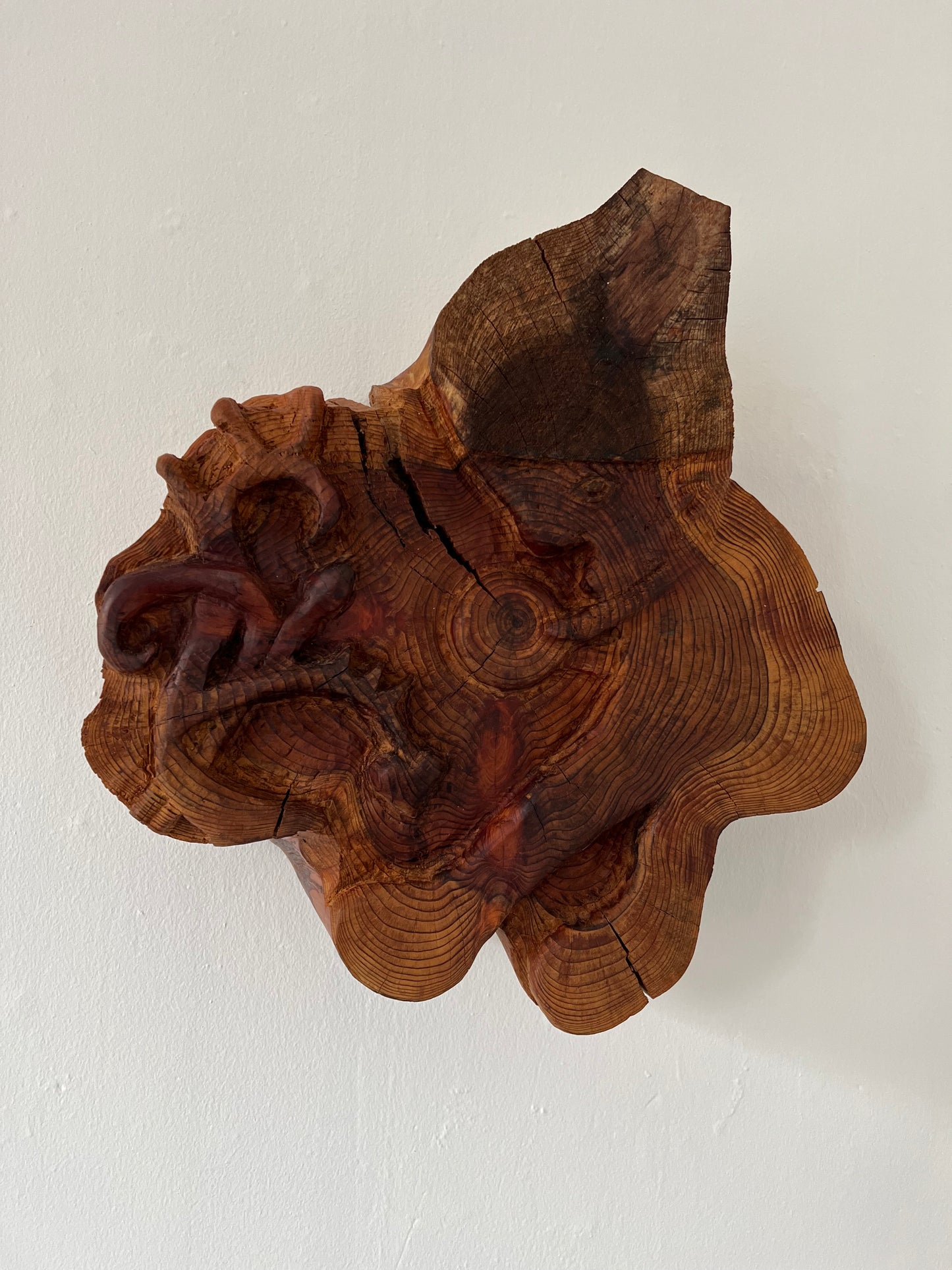 Mette Rasmussen. “Nissen finder globen blandt Bayeuxtræer”, 2019