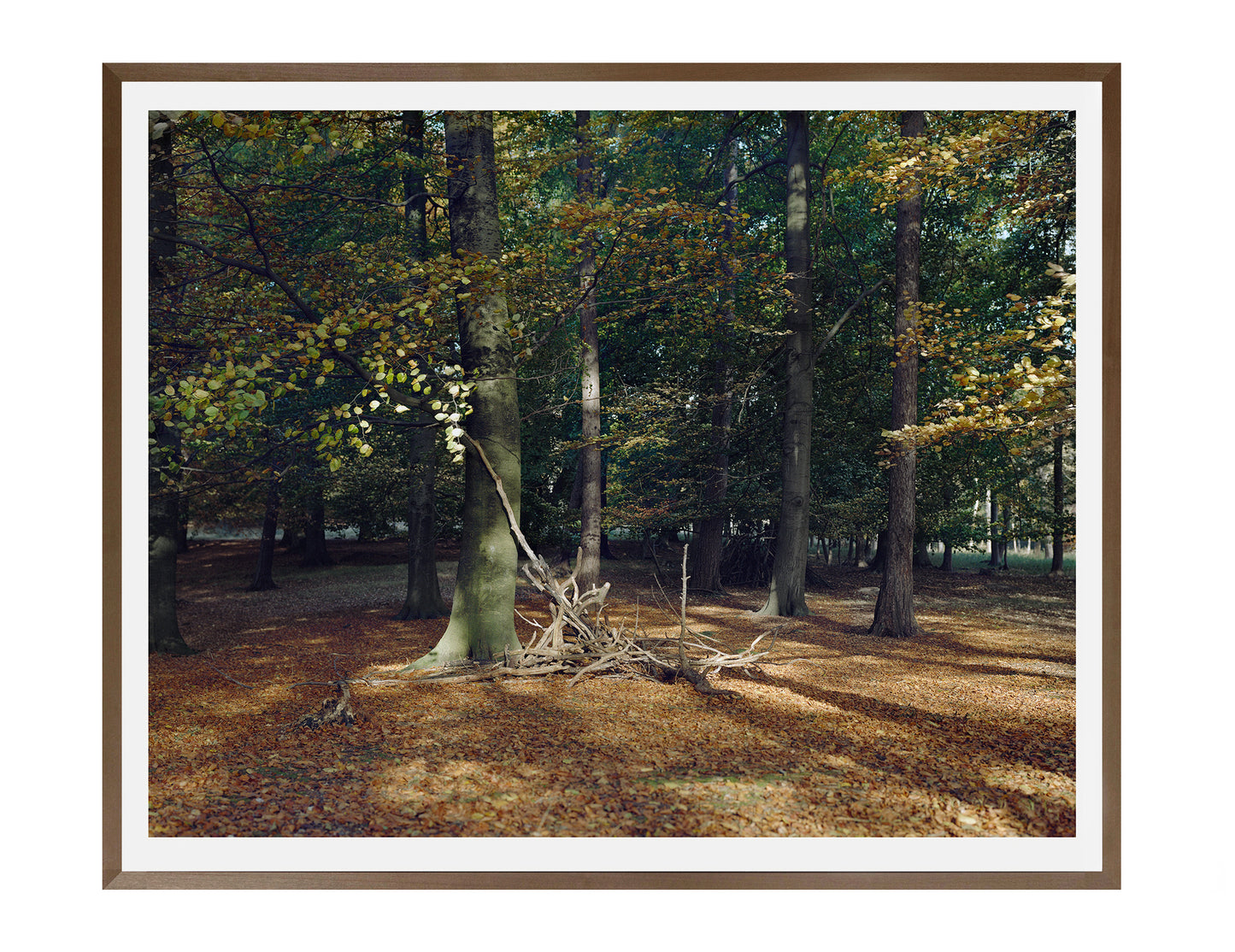 Maja Flink. “Skoven”, 2016