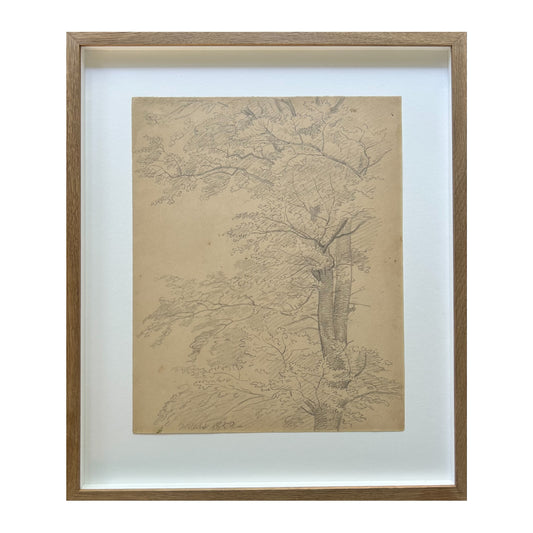 P. C. Skovgaard. Study of a tree, Hellebæk, 1858