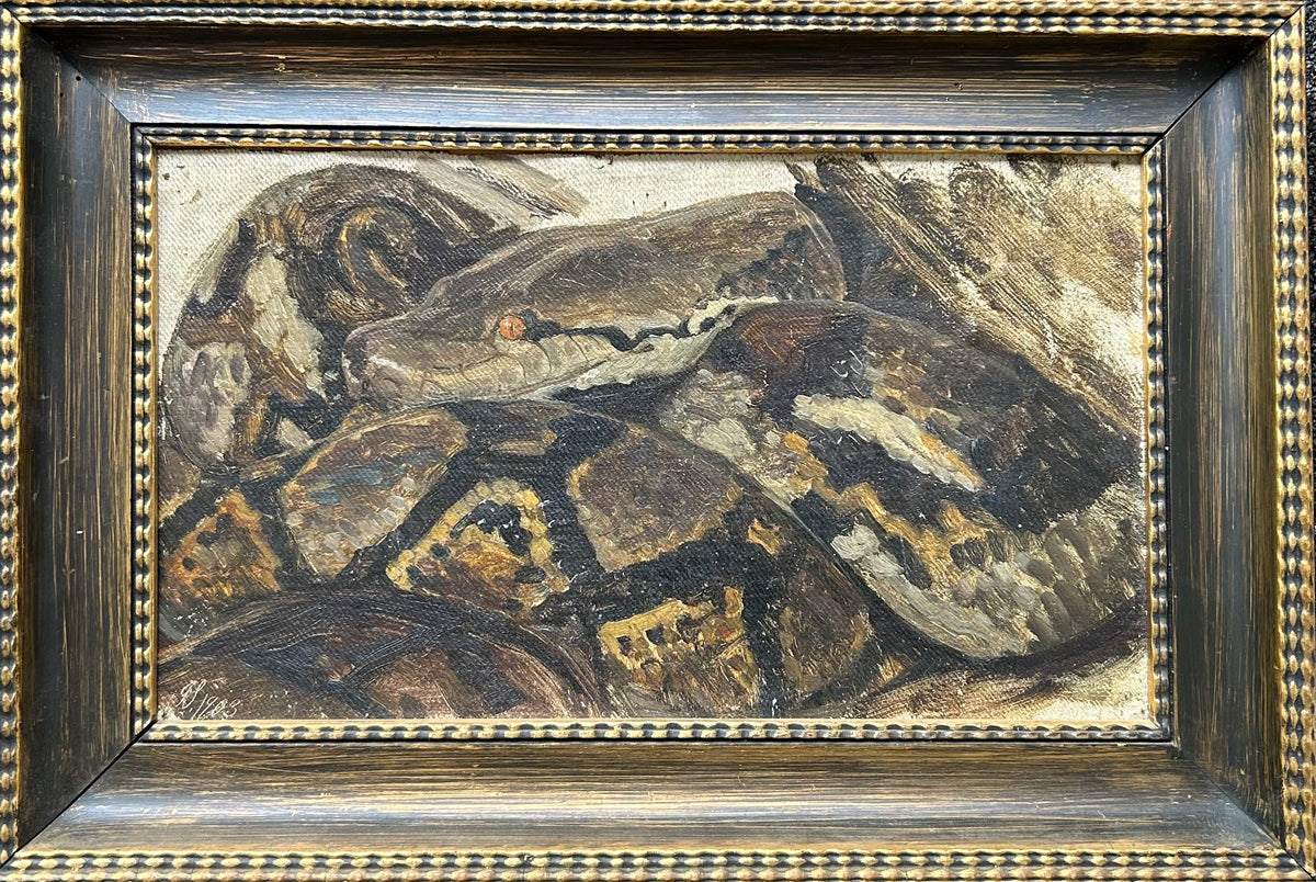 Joakim Skovgaard. Study of a tiger python, 1903