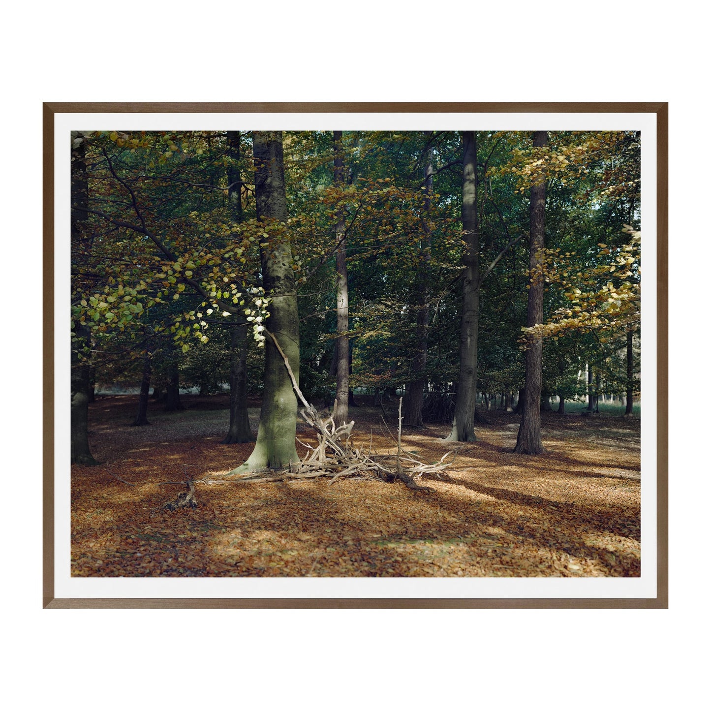 Maja Flink. “Skoven”, 2016