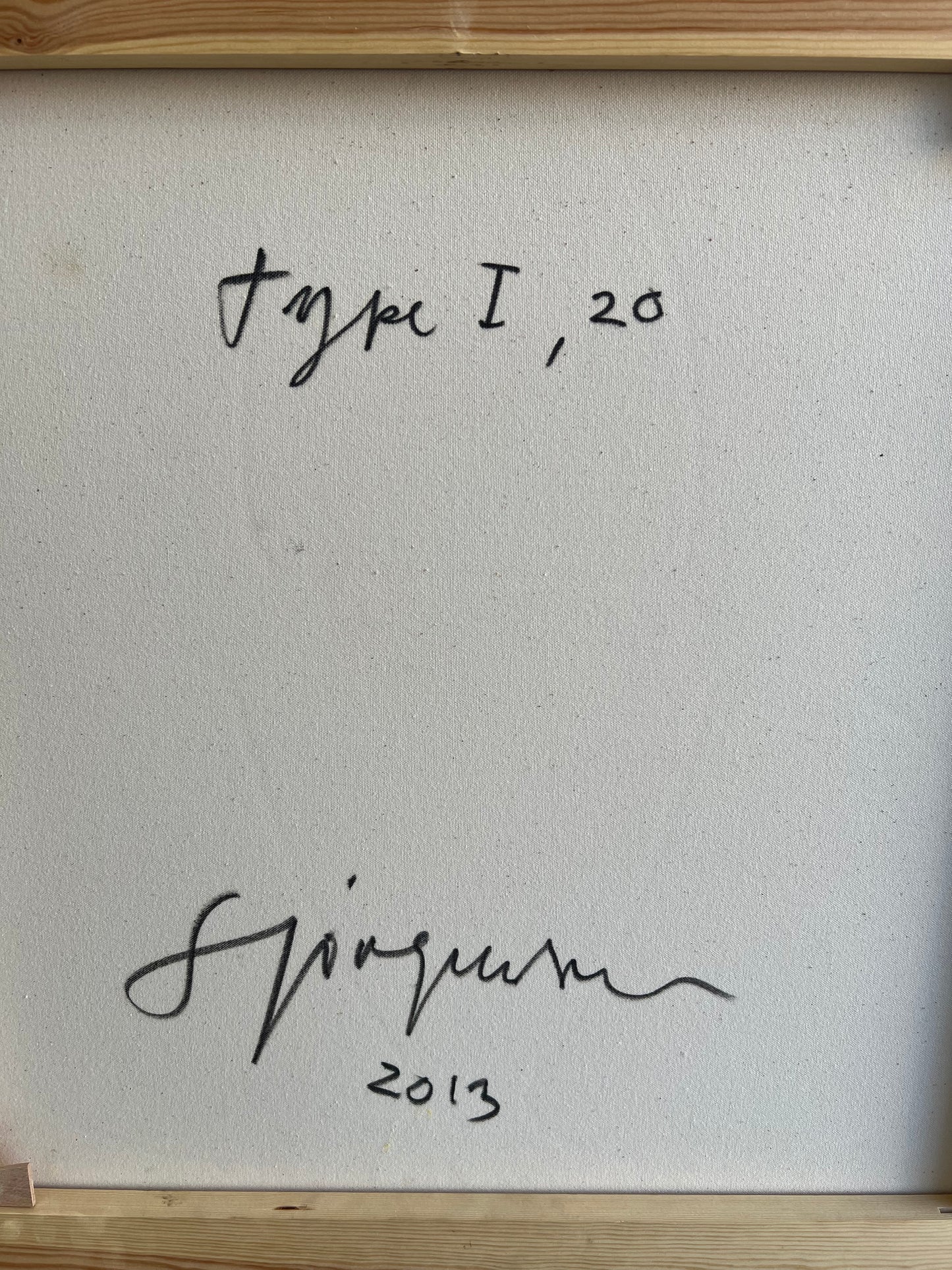 Steffen Jørgensen. “Type I”, 2013