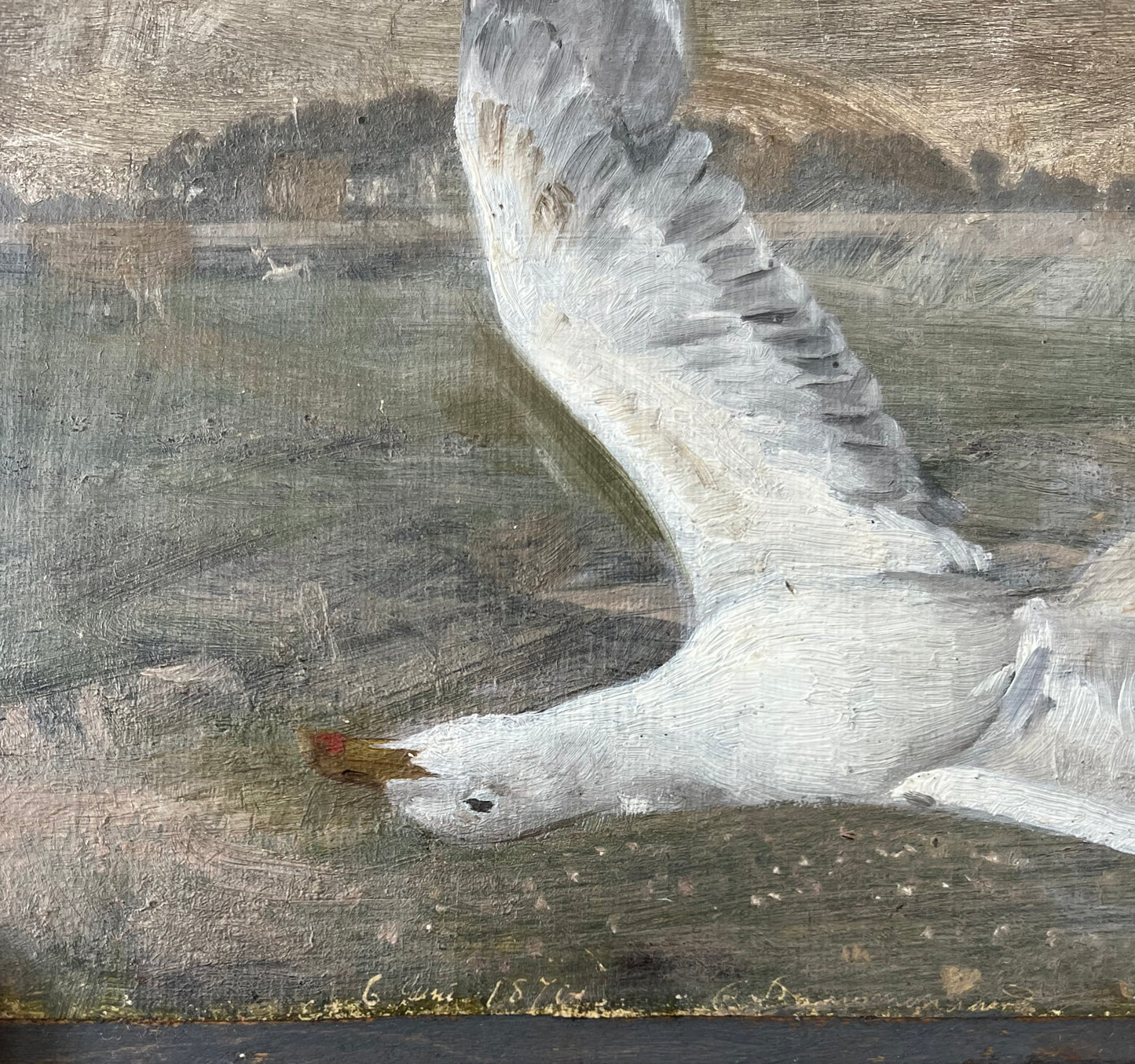 Joakim Skovgaard. Study of a seagull, 1878